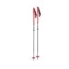 DPS Skis Extendable Pole 2023 -The Ski Equipment Store 20e9e701e47eecb0dbd34be104514e35643cce0a885e71376ff0fd002ef64f43 00062.1683076347