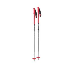 DPS Skis Extendable Pole 2023
