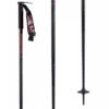 Line WALLISCH STICK Ski Poles 2020 2 Line WALLISCH STICK Ski Poles 2020 -The Ski Equipment Store 3bd532e011ab0343a82828fde872bda5ae530c8814e1f3b6a629d3da5c703775 98339.1681547531