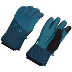 Oakley TNP Snow Gloves 2021 -The Ski Equipment Store 9eea032b5ec8309c8870ca33a57debd475f0acd8d885c39bb59bb0a85c1f66fb 36054.1685265688