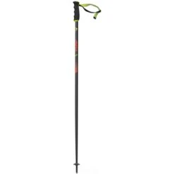 Fischer RC4 The Curv AL Ski Poles 2019