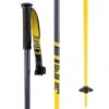 Line Skis Tac Ski Poles 2020 -The Ski Equipment Store fd202d2a7e5c1712d7032cdac5dbb4cda024635f1cd78f6a8d431fa7bb69a94e 97212.1681540957